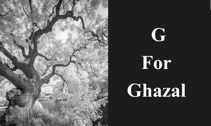 Ghazal by Nida Fazli