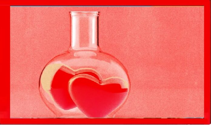 Are soulmates for real?